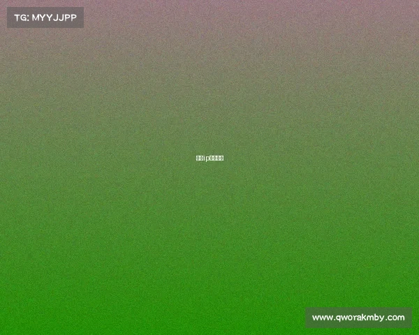 赛事ip包含哪些